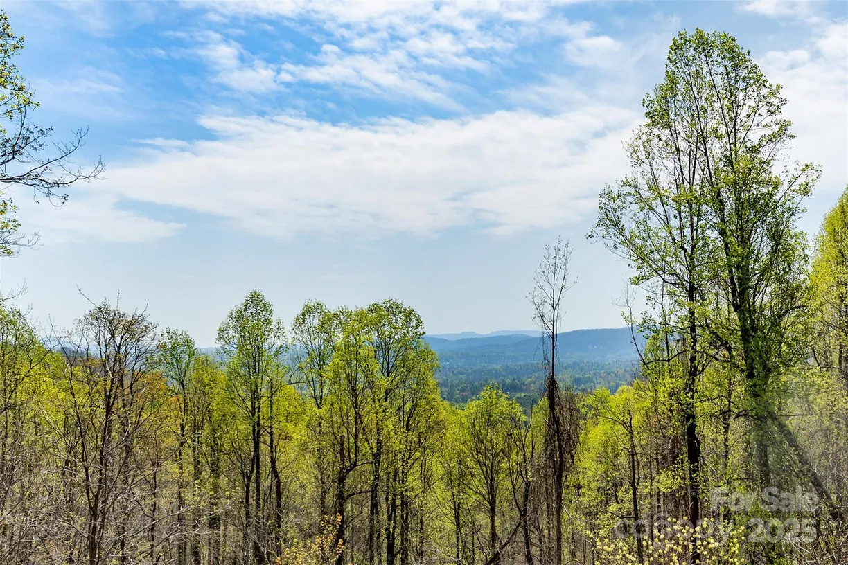 Charlotte Real Estate | View 172 Sunny Ridge Road | Listing
