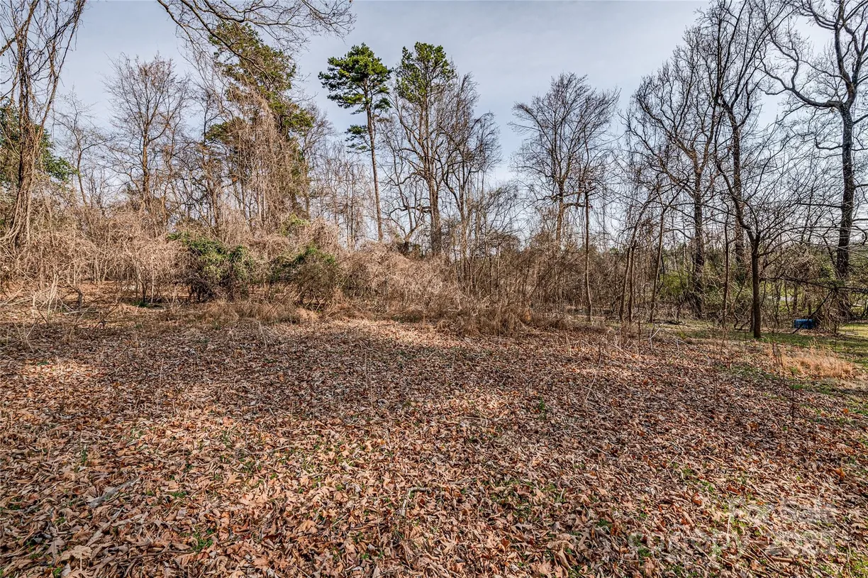 Charlotte Real Estate | View 13216 Lawyers Road | Listing