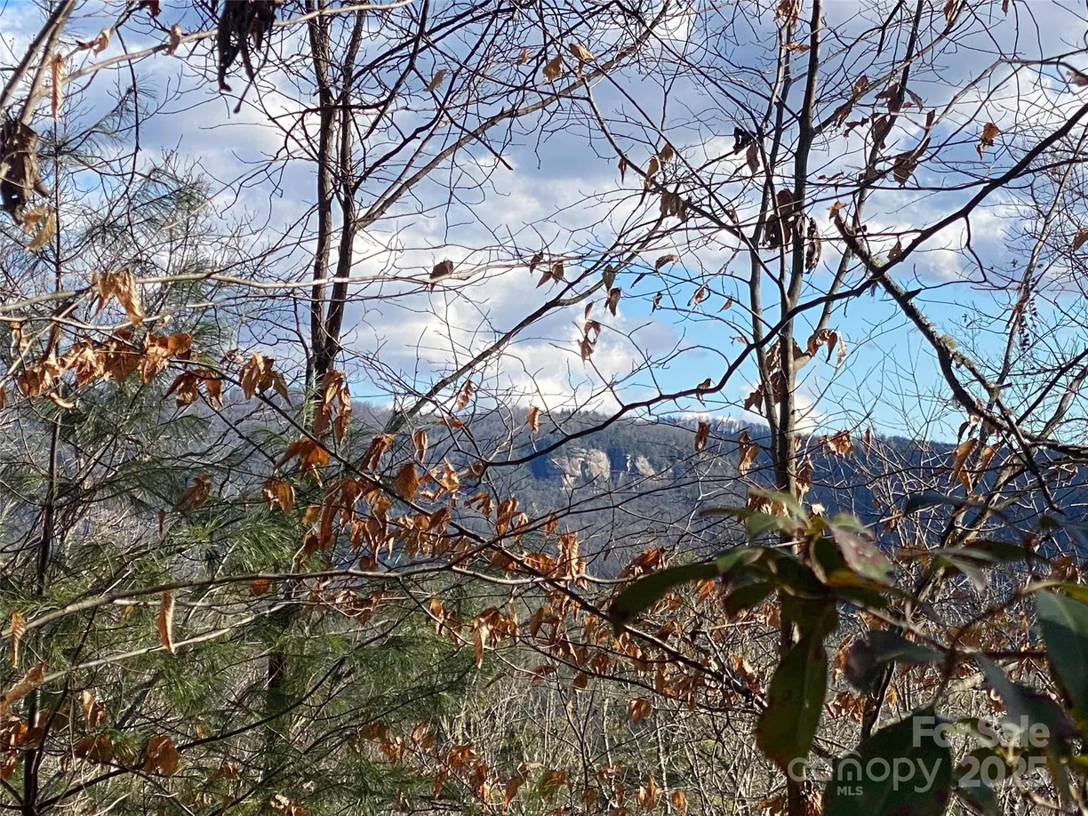 Charlotte Real Estate | View 999 High Point Trail