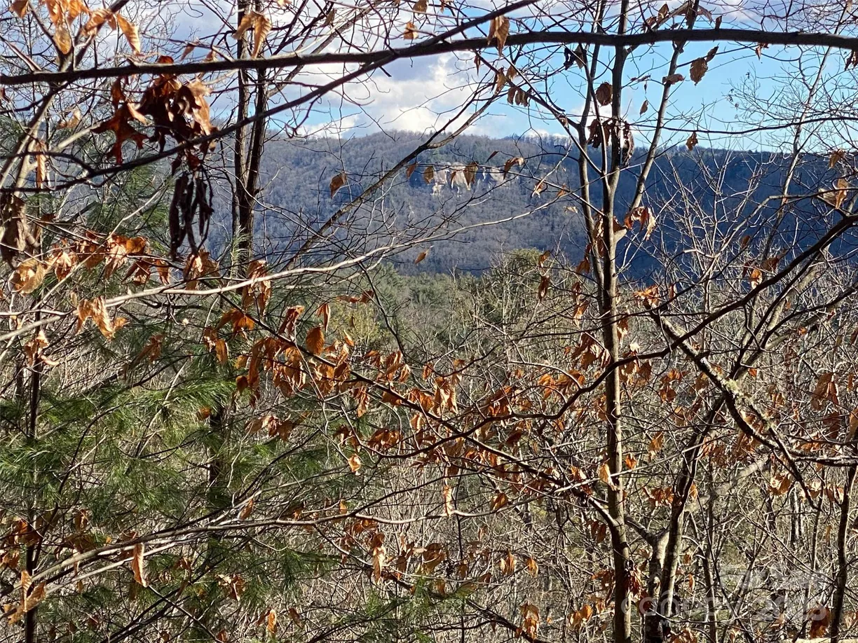 Charlotte Real Estate | View 999 High Point Trail | Listing