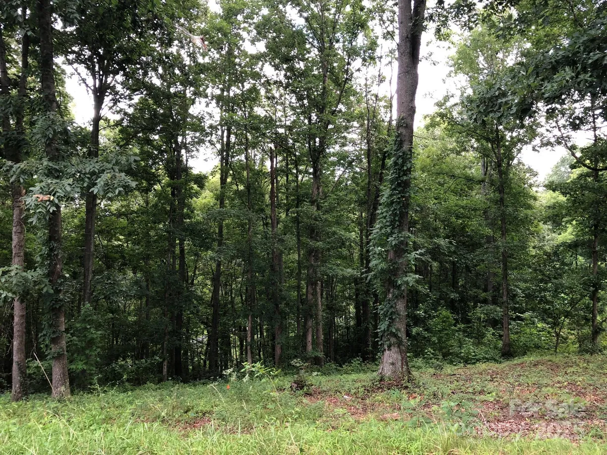 Charlotte Real Estate | View 45 Sweet Fern Parkway, 43