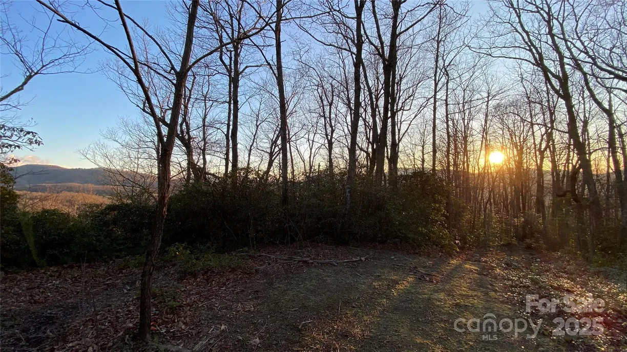 Charlotte Real Estate | View 9999 Rocky Falls Drive, 6