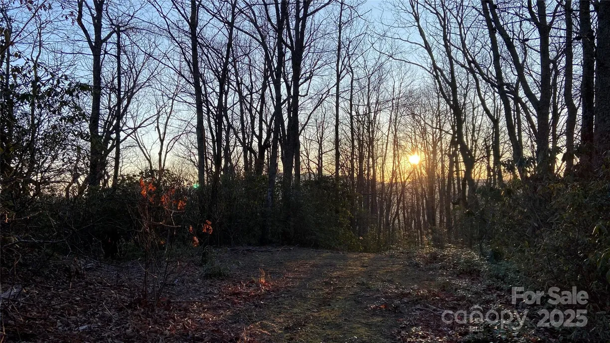 Charlotte Real Estate | View 9999 Rocky Falls Drive, 6 | Listing