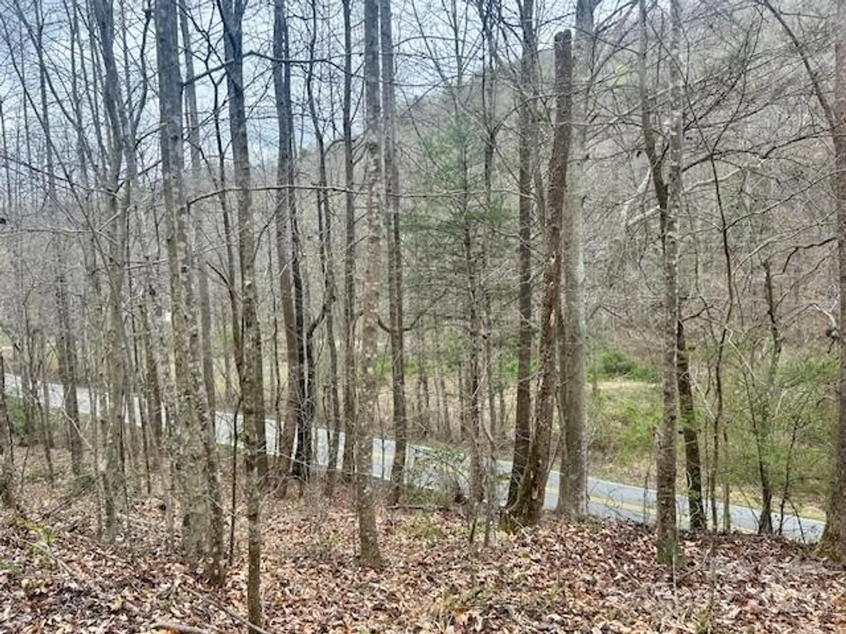 Charlotte Real Estate | View 1809 Zacks Fork Road | Listing
