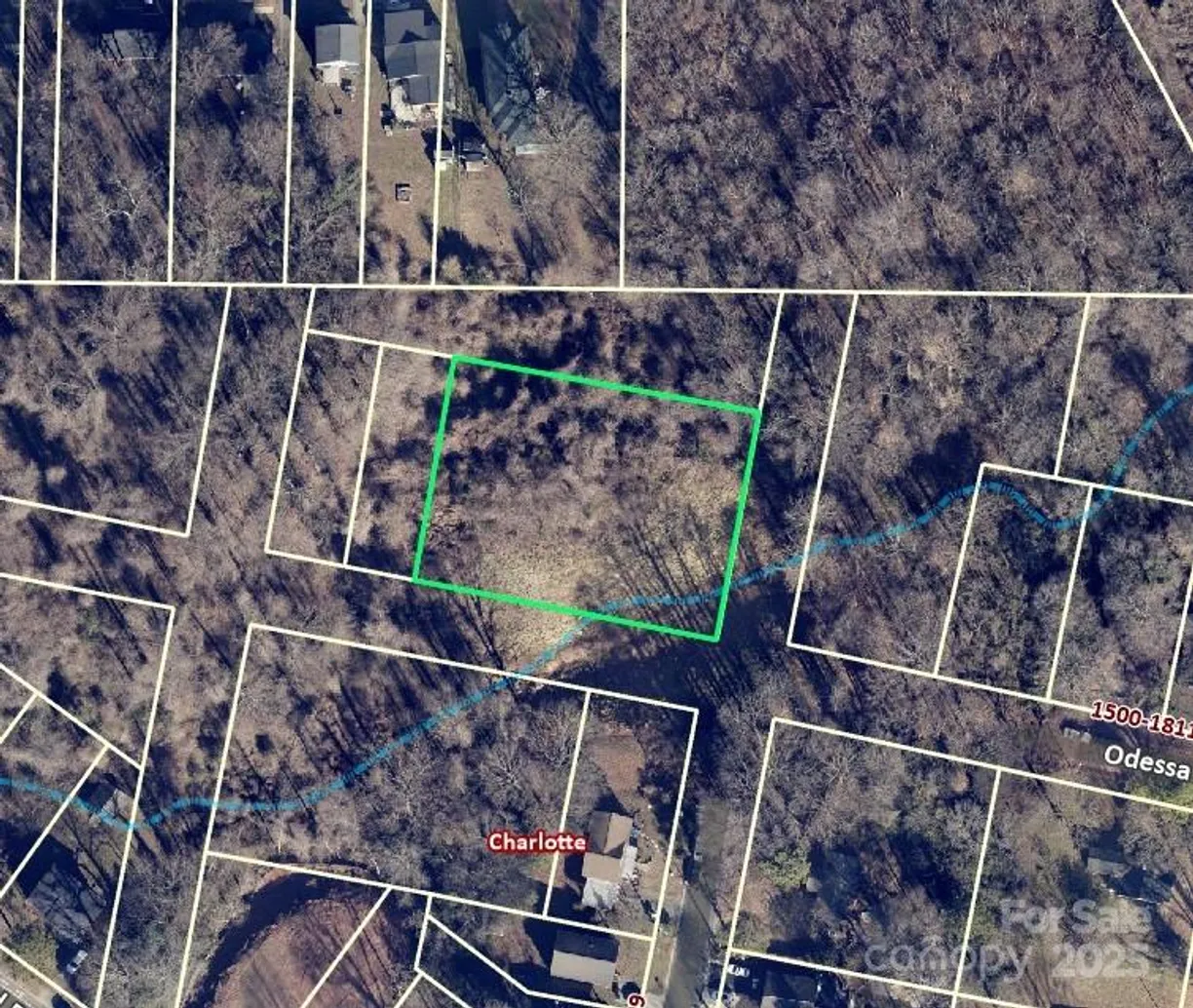 Charlotte Real Estate | View 1710 Odessa Avenue