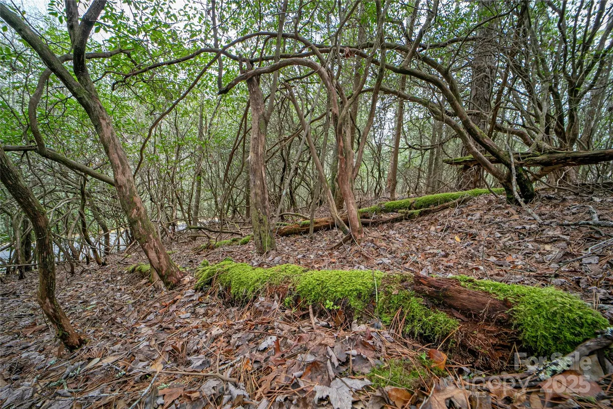 Charlotte Real Estate | View Lot 131 Thunder Road | Listing