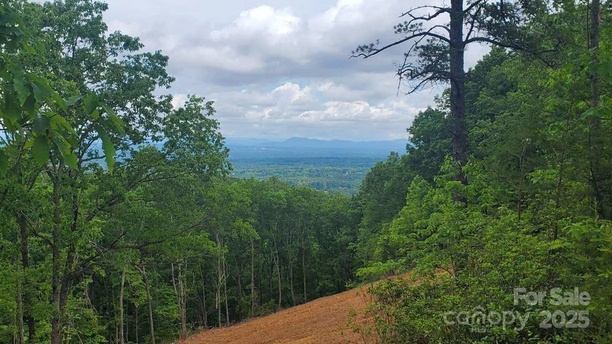Charlotte Real Estate | View 5631 Mineral Springs Mountain Avenue