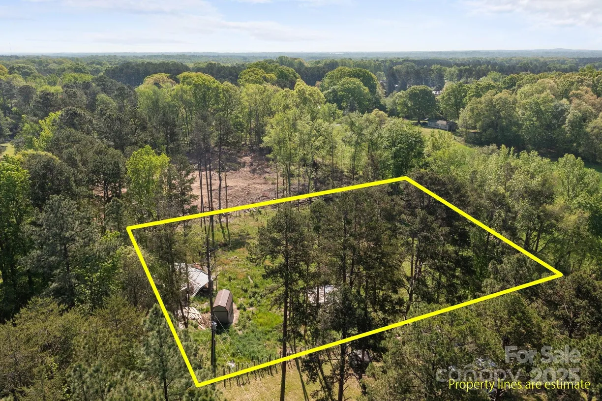 Charlotte Real Estate | View 185 Elizabeth Avenue