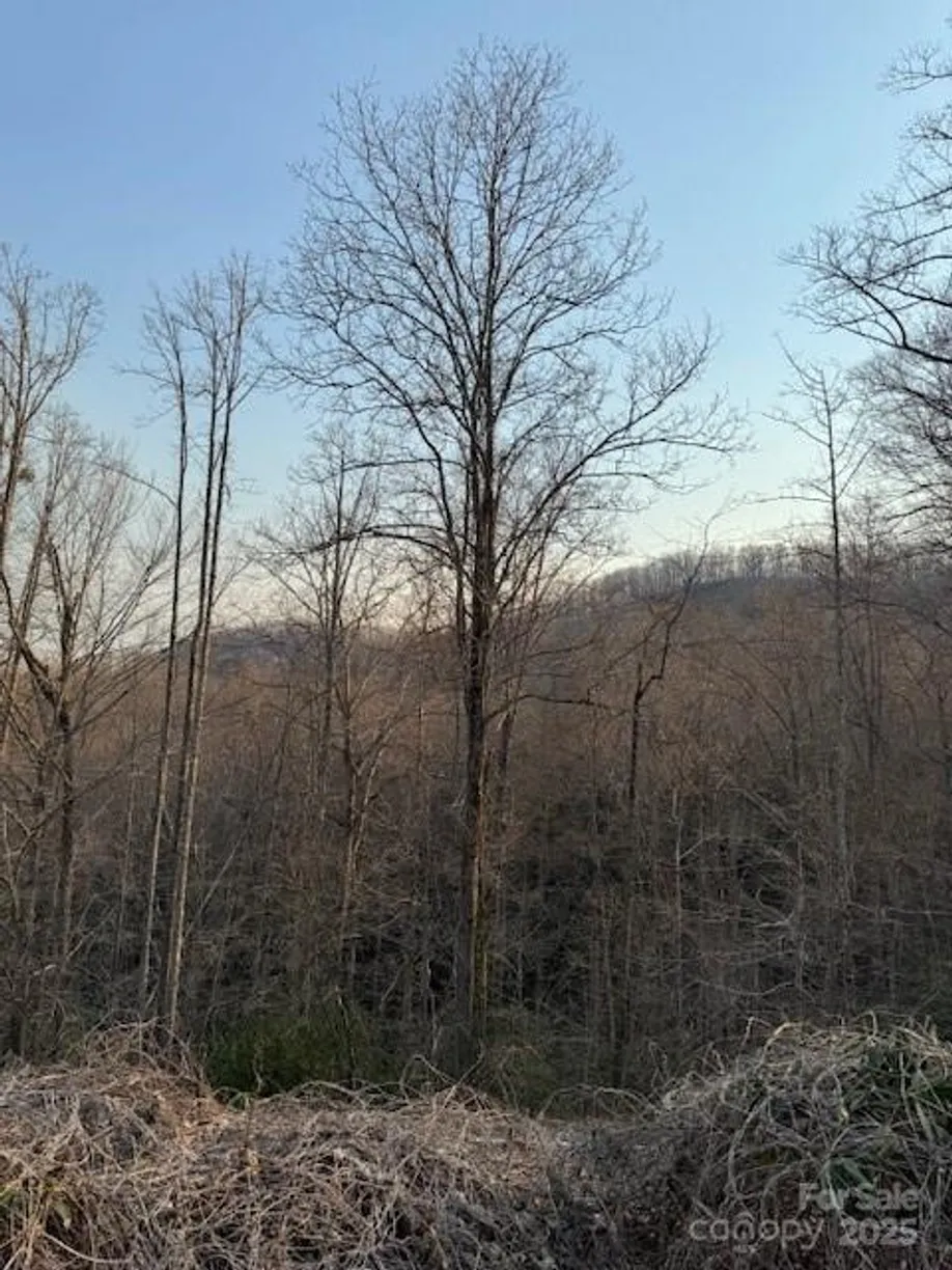 Charlotte Real Estate | View 910 Morgan Hill Road