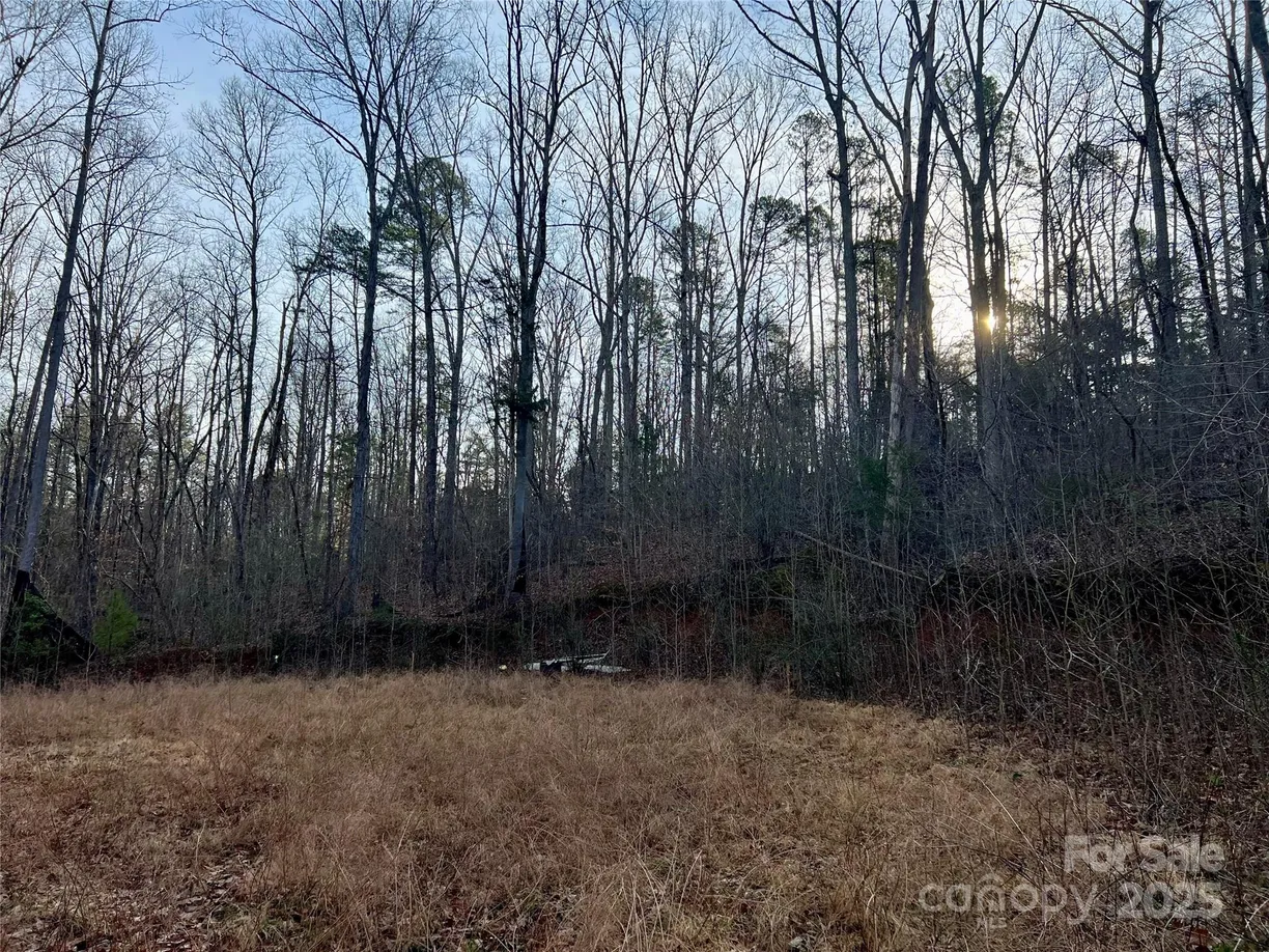 Charlotte Real Estate | View 00 Stonehenge Court | Listing
