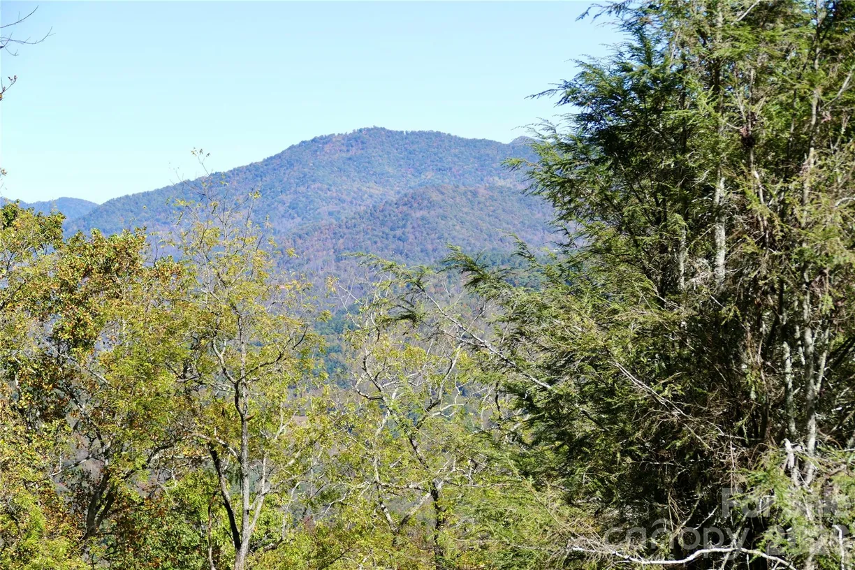 Lot 509 Multiflora Way #509, Waynesville, NC 28785 Property for sale