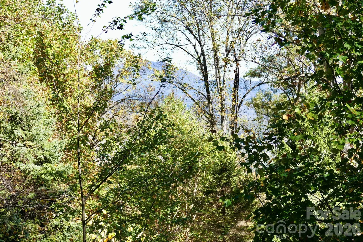 Lot 509 Multiflora Way #509, Waynesville, NC 28785 Property for sale