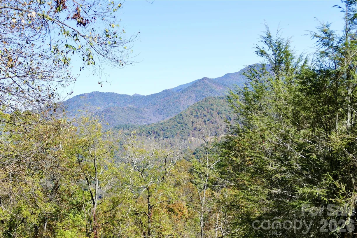 Lot 509 Multiflora Way #509, Waynesville, NC 28785 Property for sale