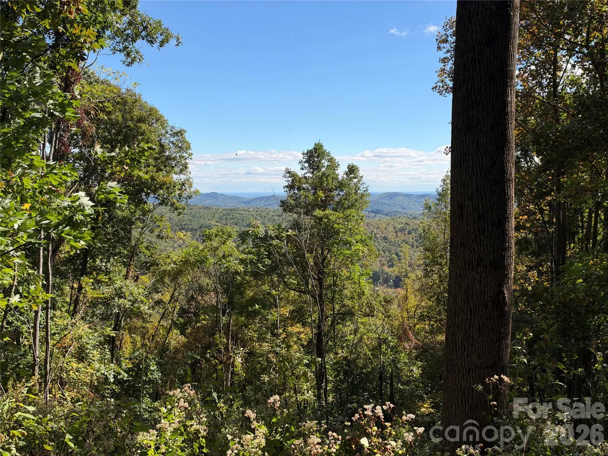 TBD Vannoy Road, Moravian Falls, NC 28654 Property for sale