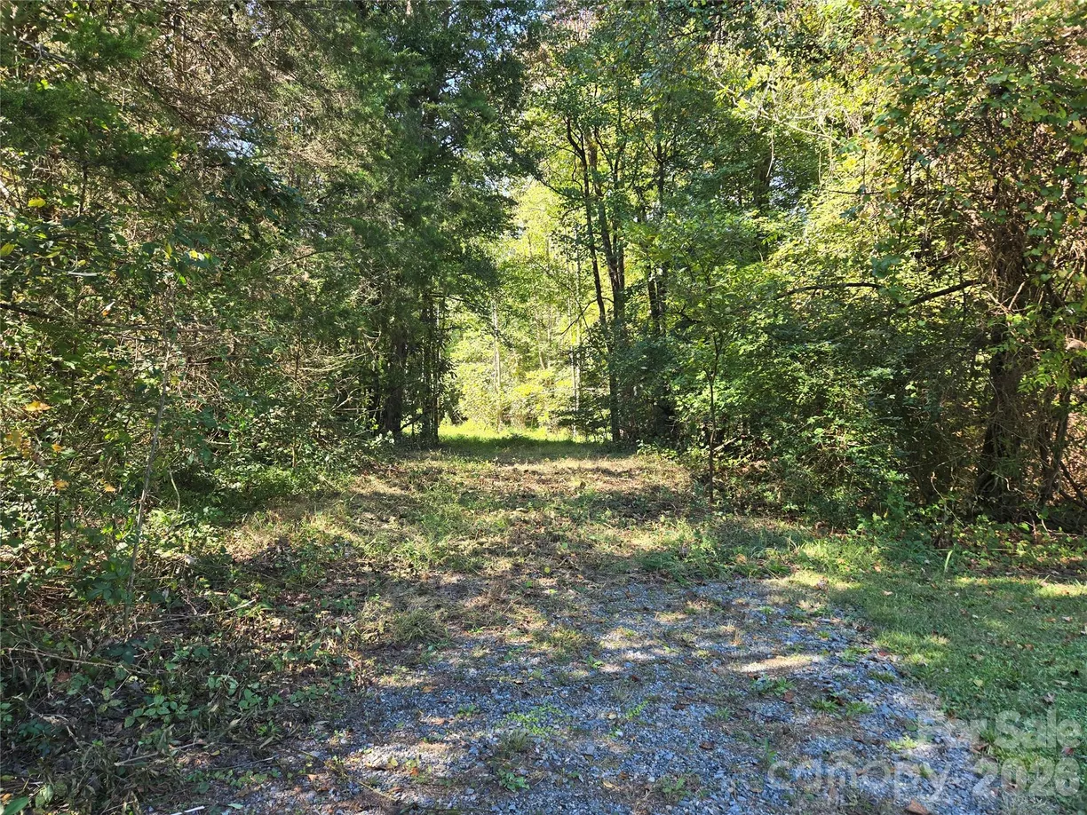 0 Cemetery Street, East Bend, NC 27018 Property for sale