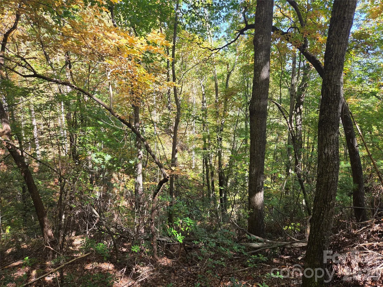 29 Elk Ridge Road #EH 29, Ferguson, NC 28624 Property for sale