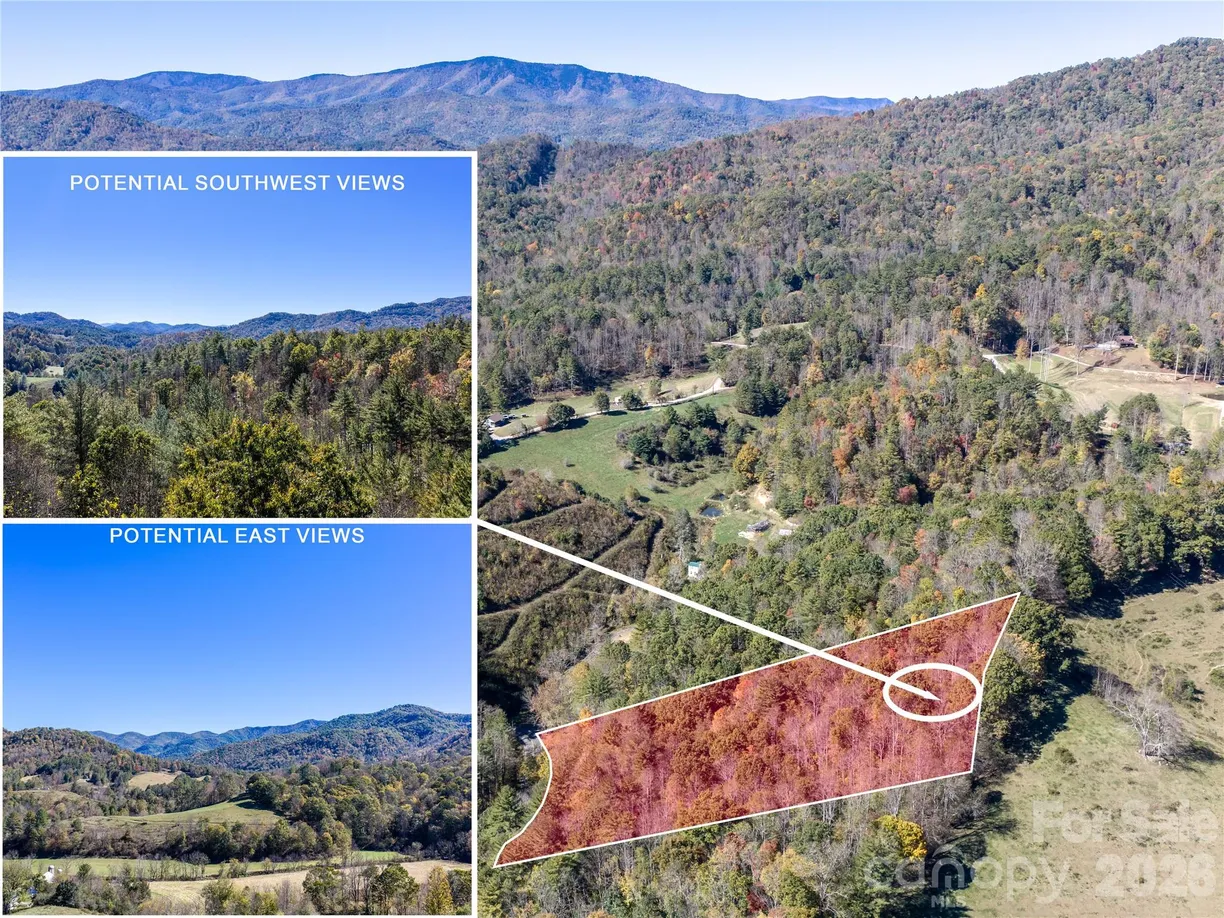 00 Shelton Laurel Road, Clyde, NC 28721 Property for sale