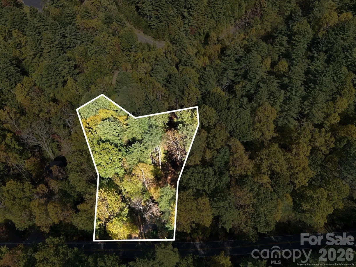 2230 Evans Road, Hendersonville, NC 28739 Property for sale