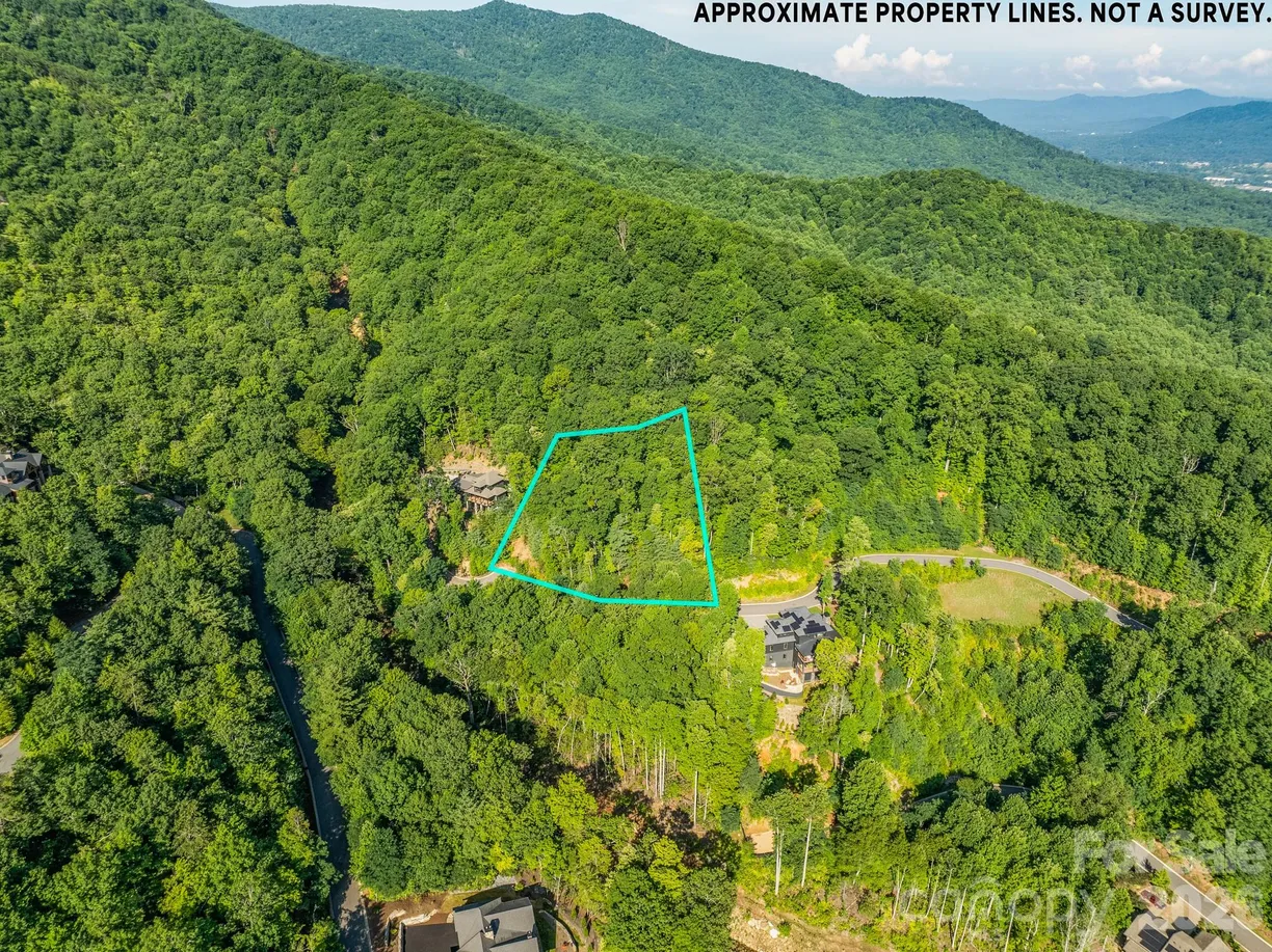 59 Old Greybeard Loop, Black Mountain, NC 28711 Property for sale
