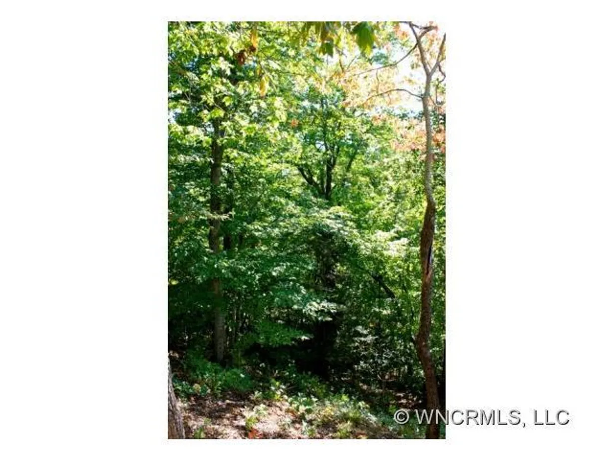 Charlotte Real Estate | View 8 Whitman Lane, 42