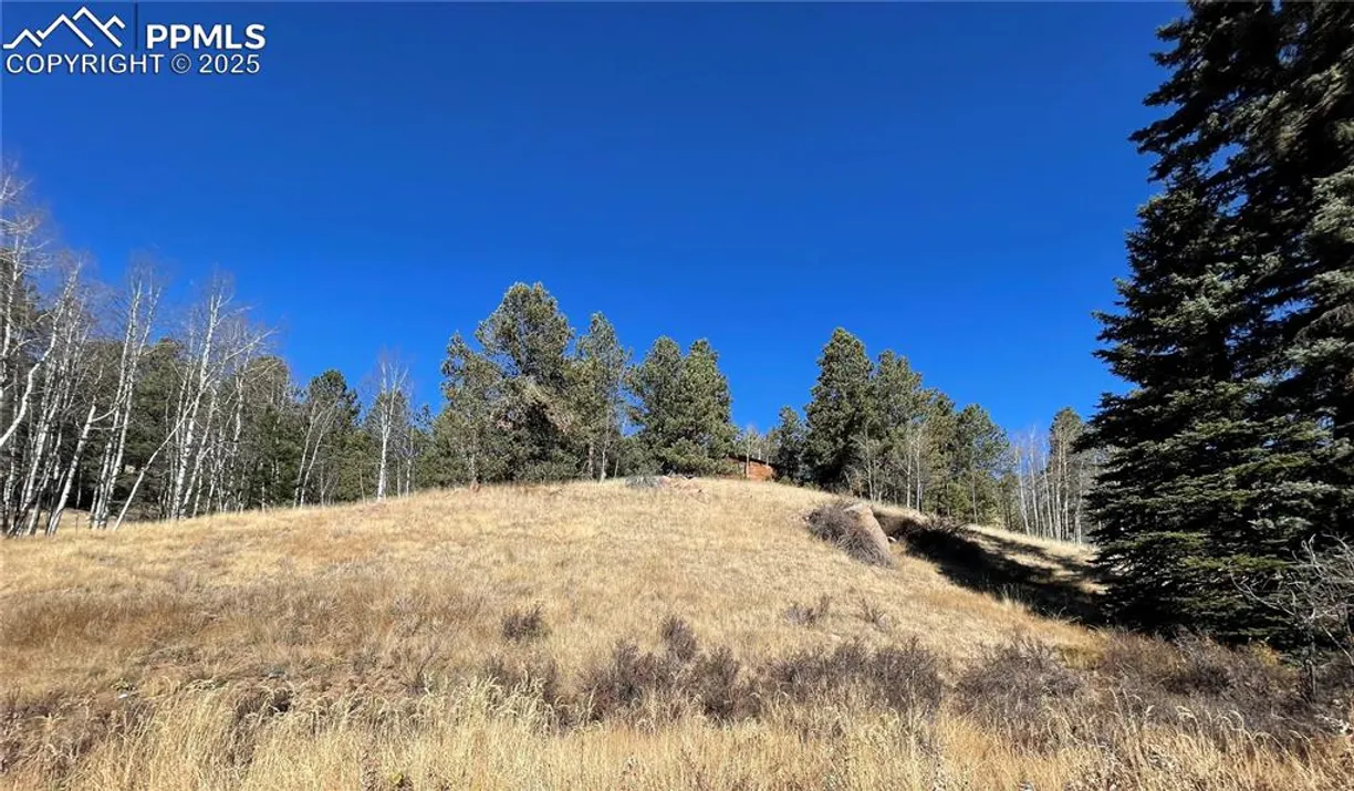 Denver Real Estate | View 3090 N Mountain Estates Road