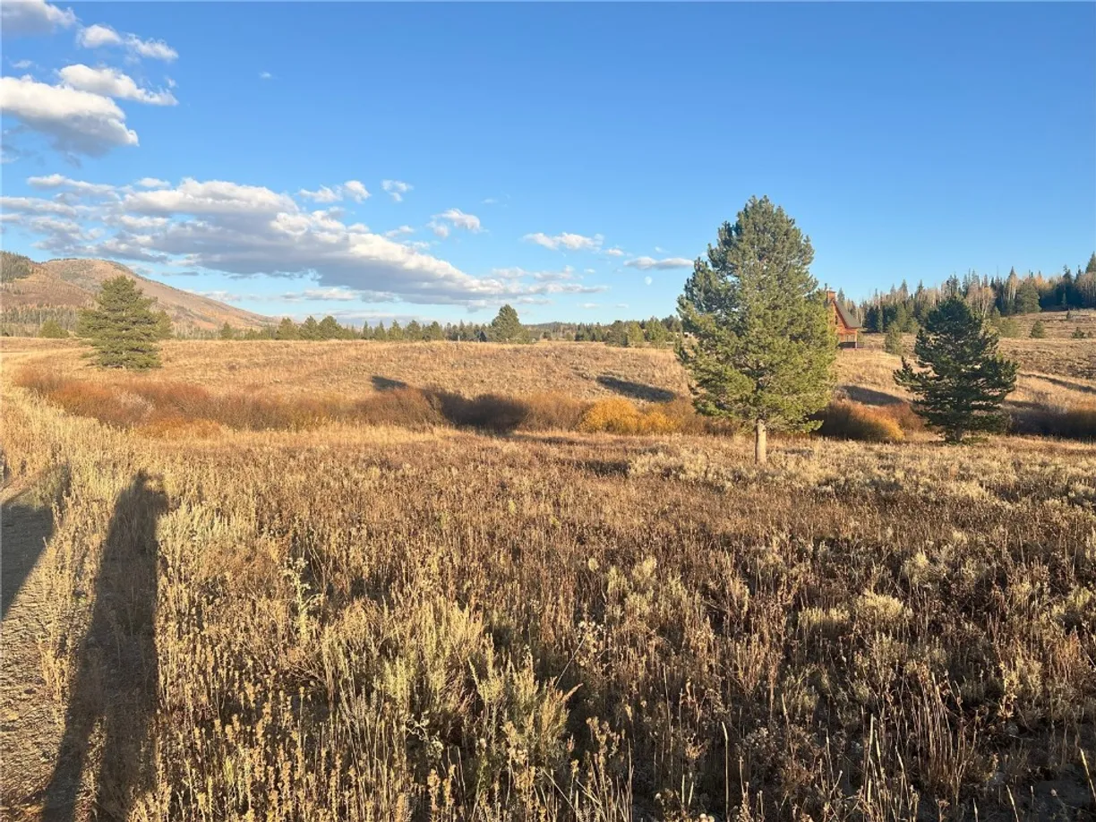 Denver Real Estate | View 25865 Lodgepole Drive Drive