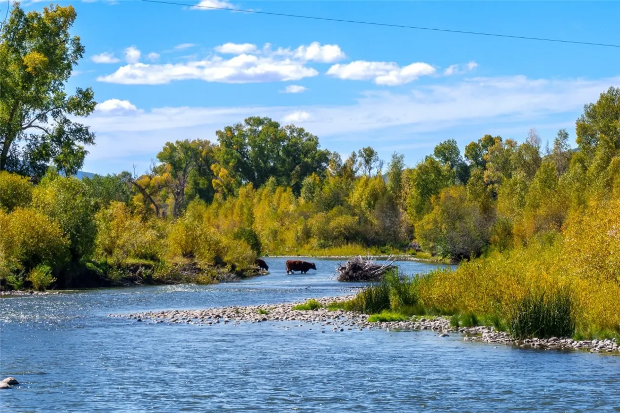 Denver Real Estate | View 26400 CC Way | Listing