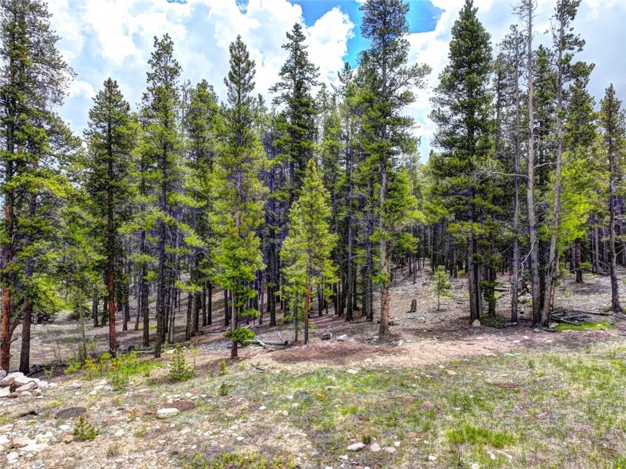 Denver Real Estate | View 336 Venture Road | Listing