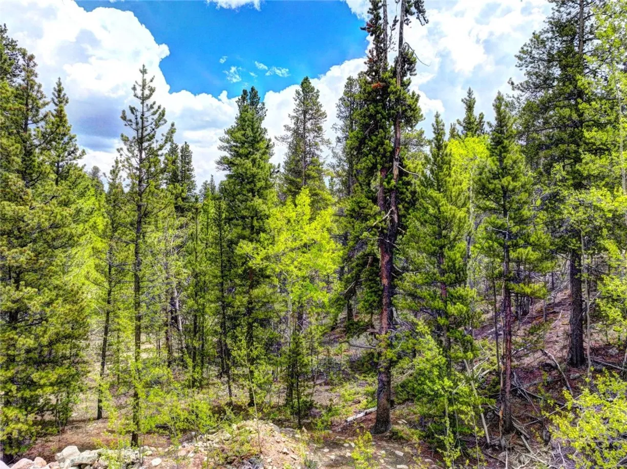 Denver Real Estate | View 336 Venture Road