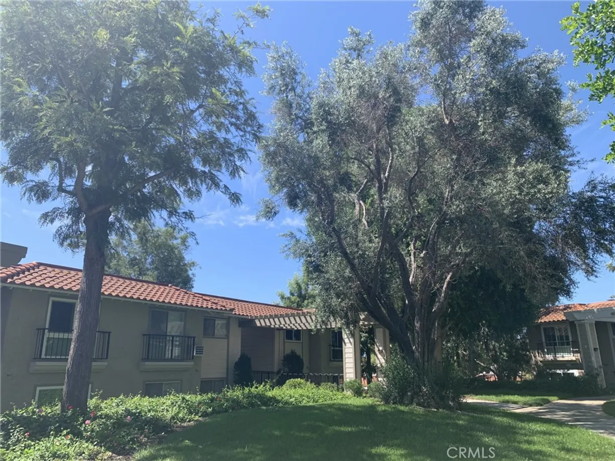 Northern California Real Estate | View 3271 San Amadeo, P | Listing