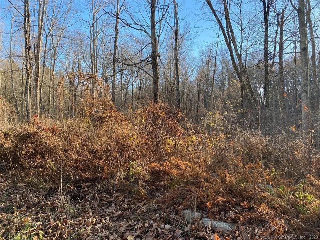 Greenwich Real Estate | View 477 Milton Road | Listing