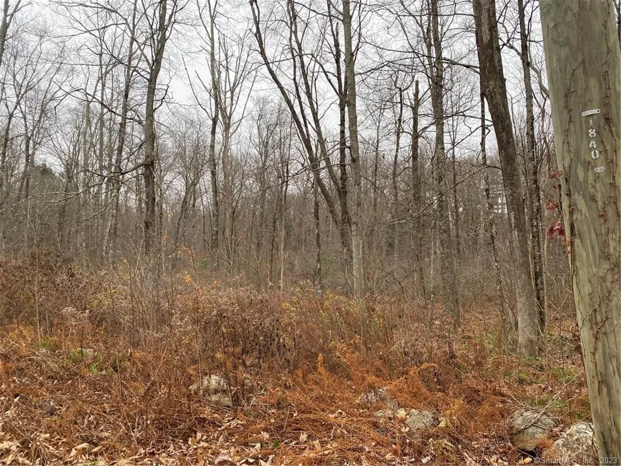 Greenwich Real Estate | View 477 Milton Road | Listing