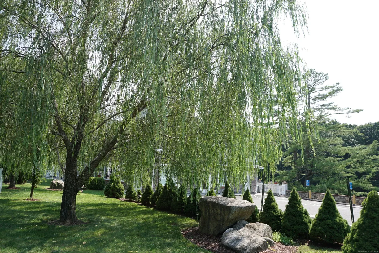 Greenwich Real Estate | View 1086 Long Ridge Road, 1 | Listing