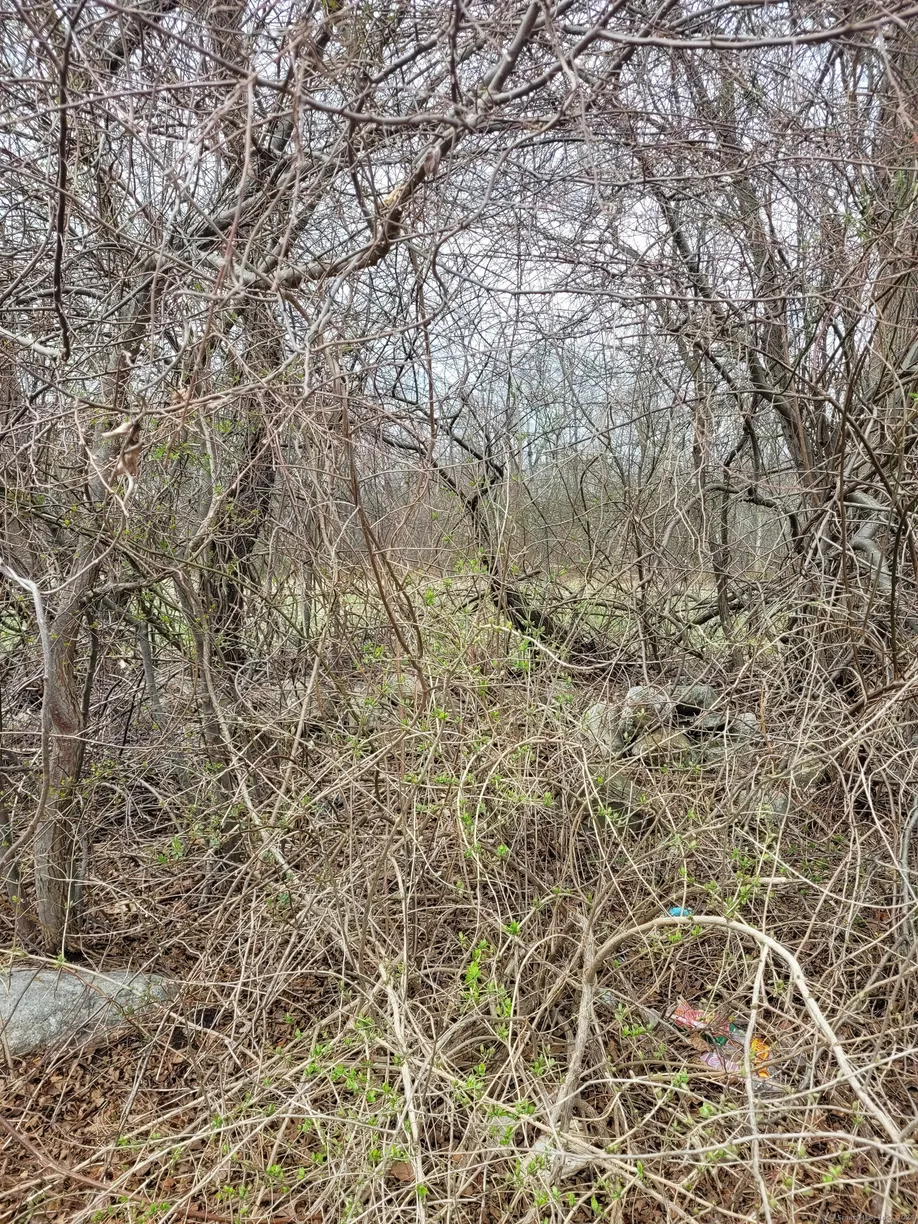 Greenwich Real Estate | View Lot 3 Church Street