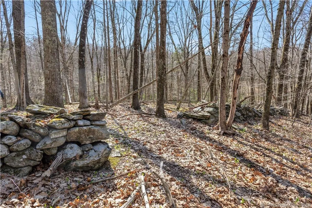 Greenwich Real Estate | View 238 North Street | Listing