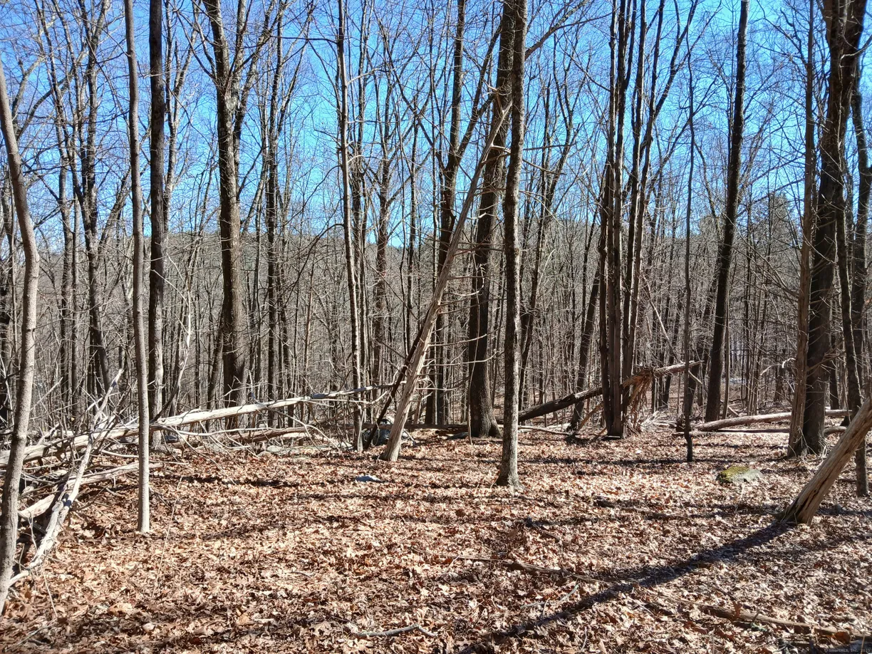 Greenwich Real Estate | View Sherman Road | Listing