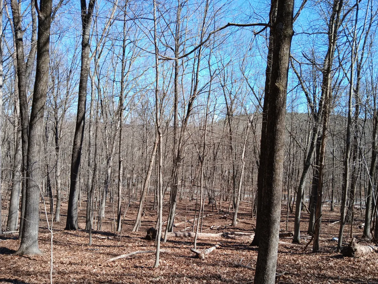 Greenwich Real Estate | View Sherman Road | Listing