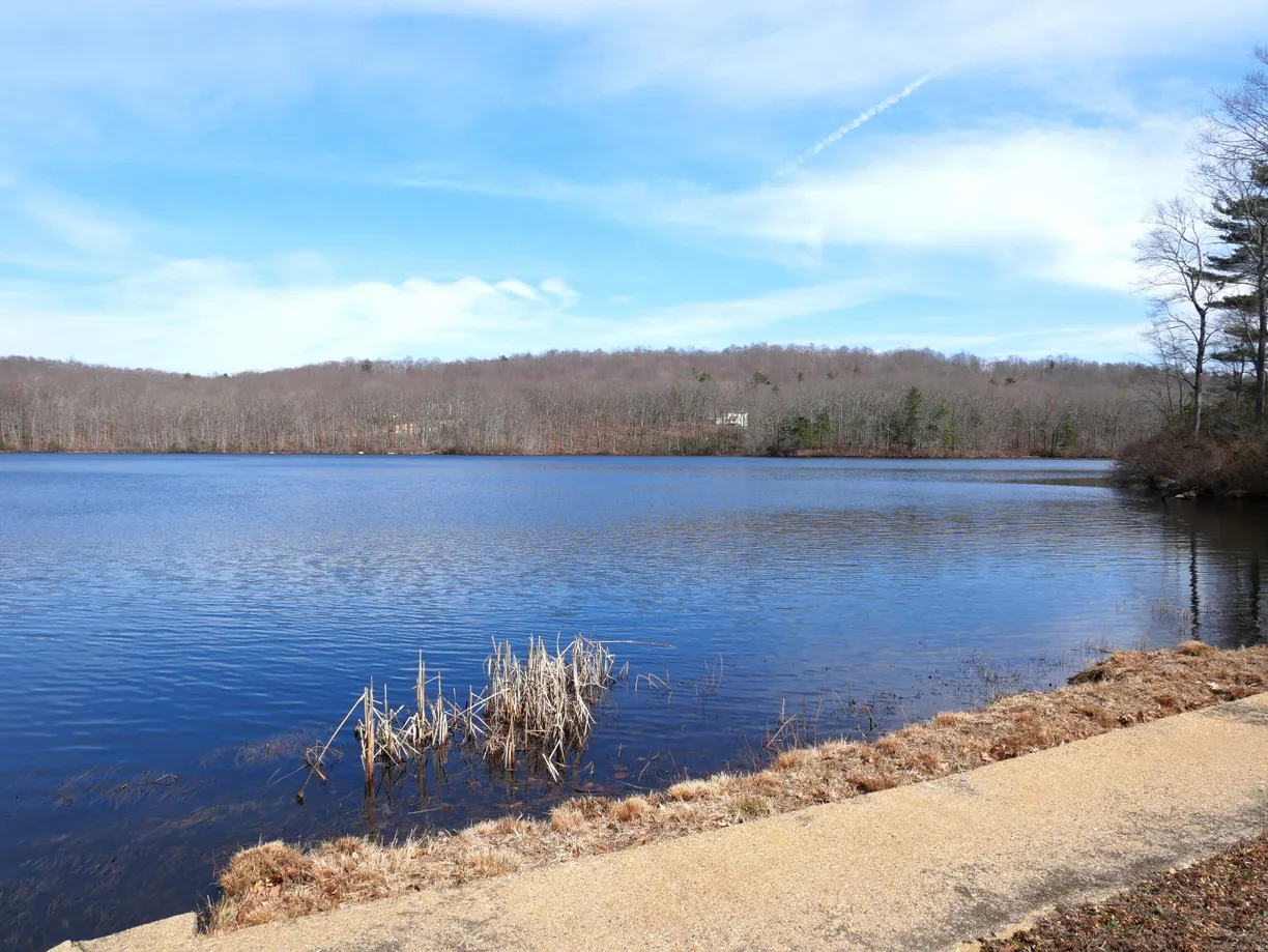 Greenwich Real Estate | View  | Listing