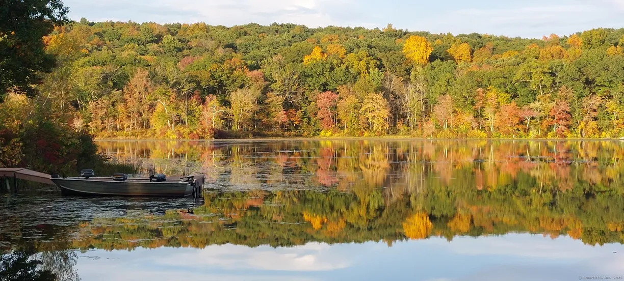 Greenwich Real Estate | View 