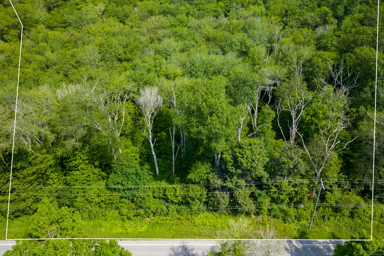 Greenwich Real Estate | View  | Listing