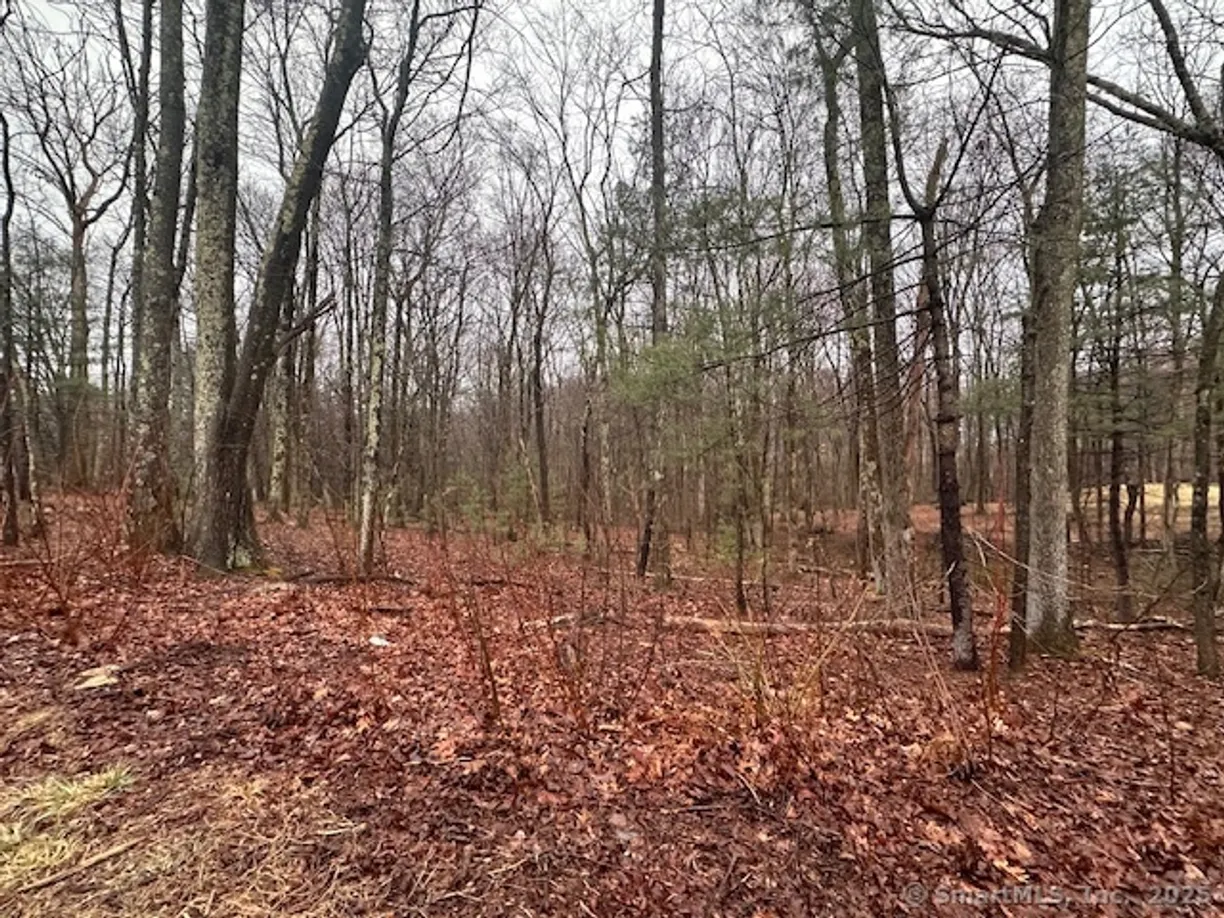 Greenwich Real Estate | View Lot 7 Hill Road