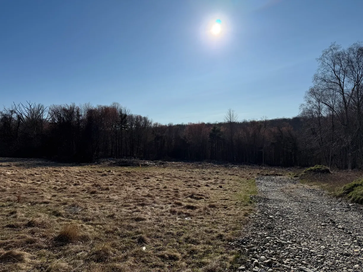 Greenwich Real Estate | View 153 Lisbon Road | Listing