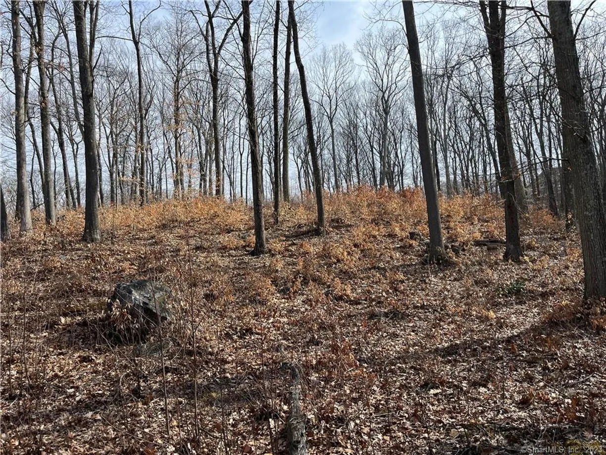 Greenwich Real Estate | View 51 Larkey Road | Listing