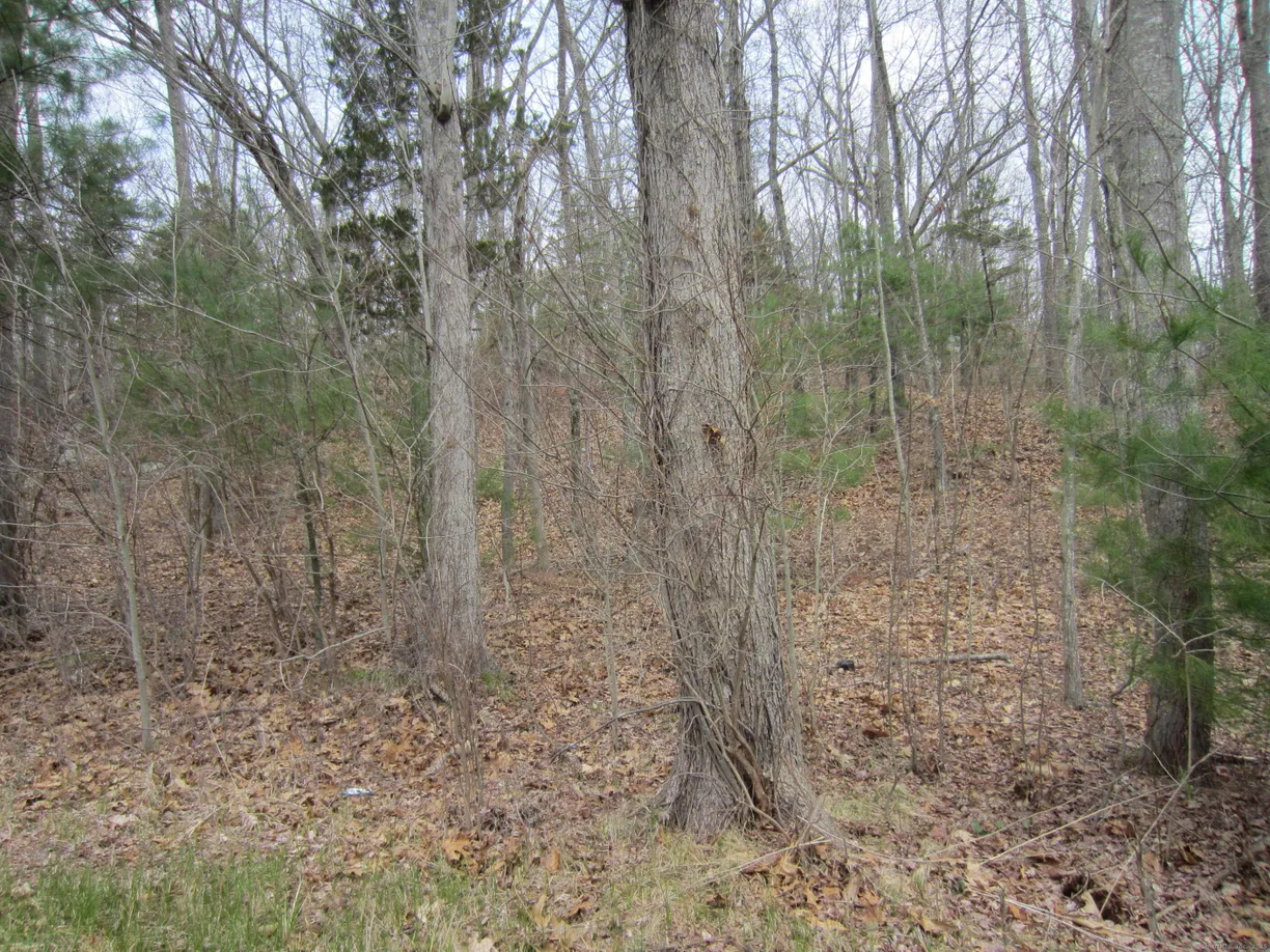 Greenwich Real Estate | View 1844 Glasco Road