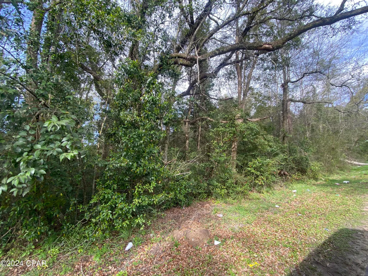 Northwest Florida Real Estate | View 0 Old Cottondale Road