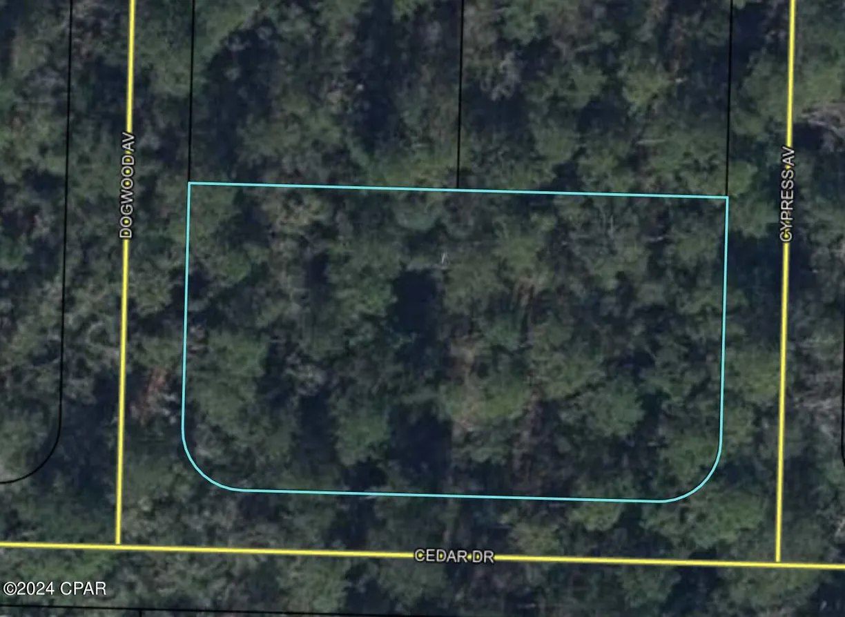 Northwest Florida Real Estate | View 000 Cedar Drive