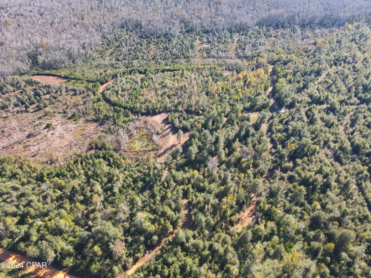 Northwest Florida Real Estate | View 00 Brushey Pond Road