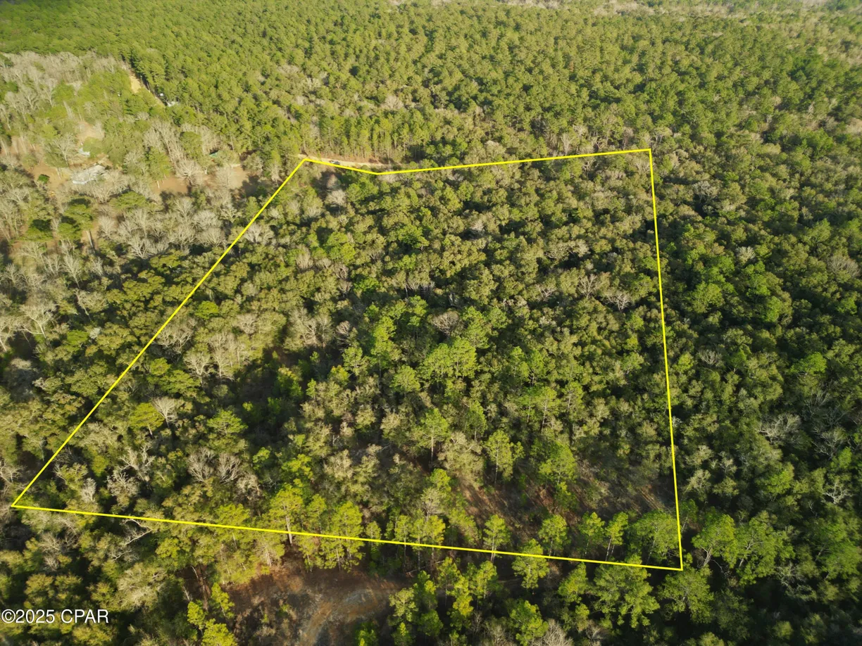 Northwest Florida Real Estate | View 000 Creek Run Road | Listing