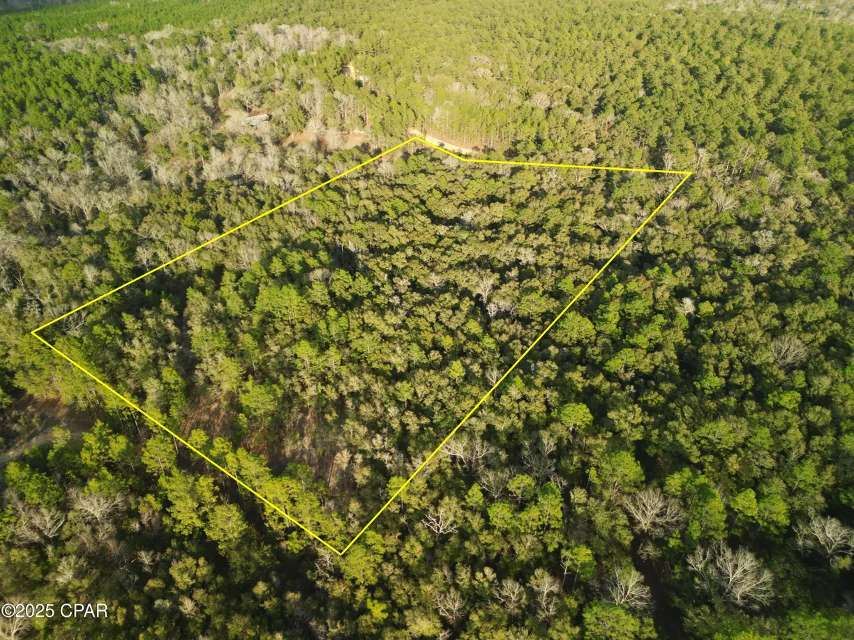 Northwest Florida Real Estate | View 000 Creek Run Road | Listing