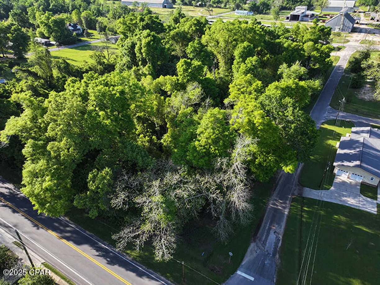 Northwest Florida Real Estate | View 0000 Fort Road | Listing